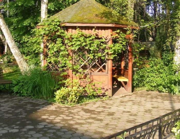 Услуги и развлечения - Санаторий «Янтарь» Светлогорск РЖД-Здоровье